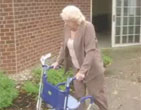 Pilot Walker